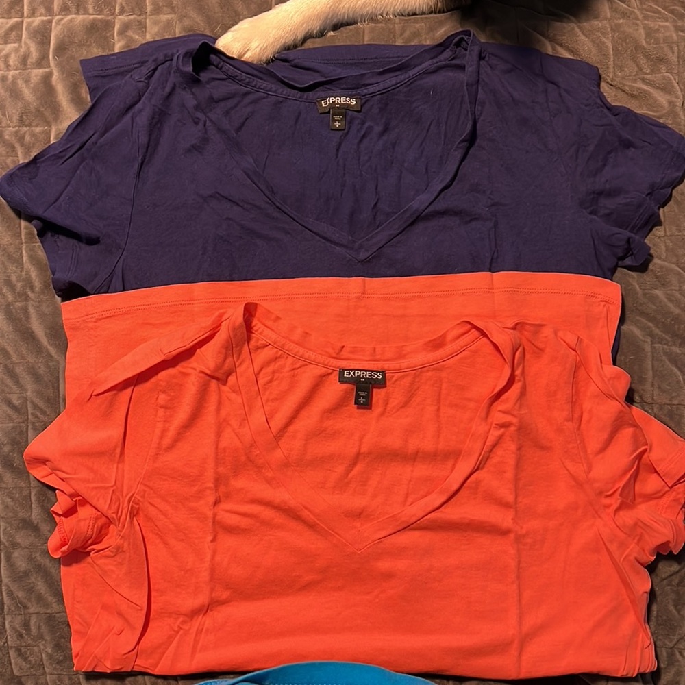 EXPRESS TSHIRT, set of 2